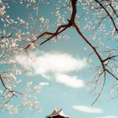 轩辕九州手游官方